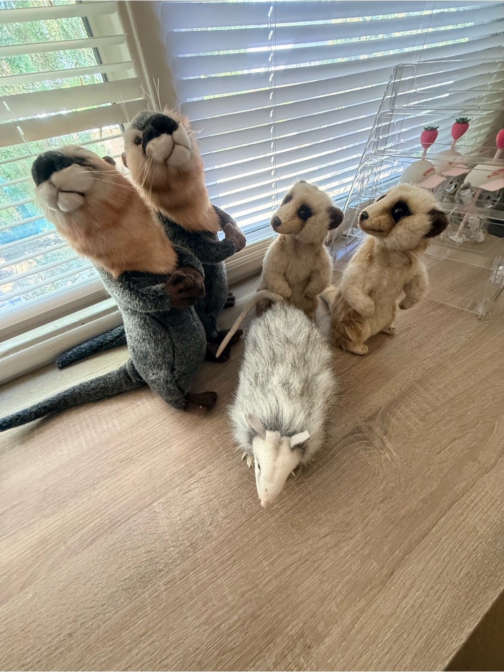 Hansa Plush Animal Set of 5